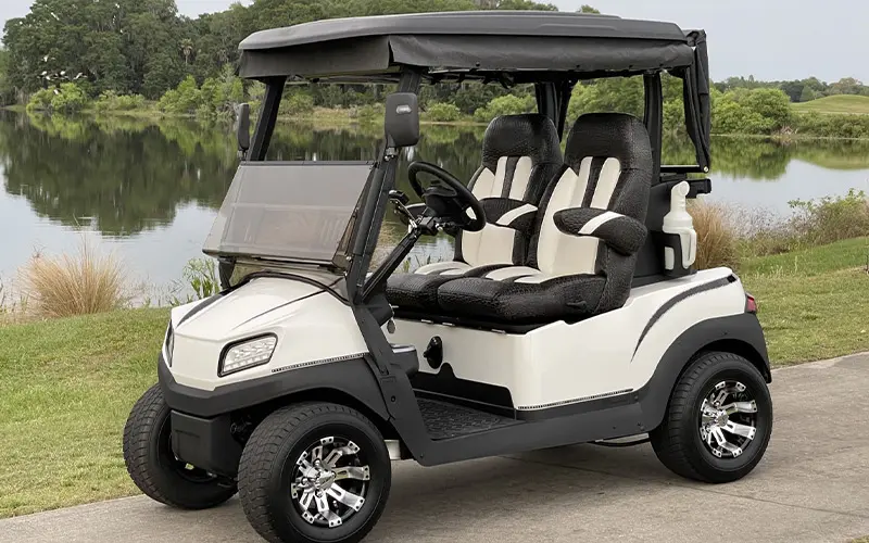Premium customized gas golf cart